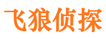 浮梁外遇调查取证